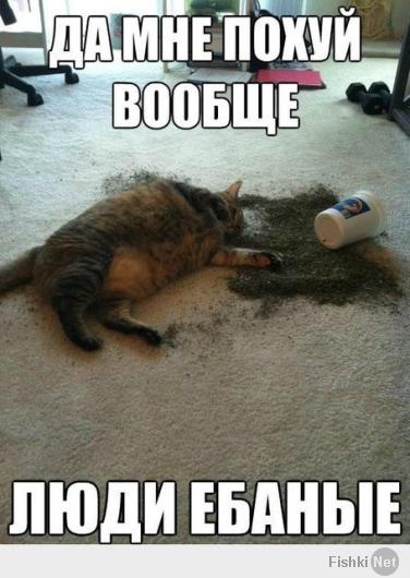в тысячный раз про КОТЭ)))))))))))))