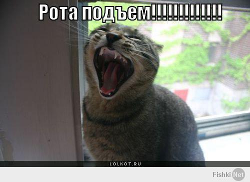Фишкина солянка за 15.06.2014