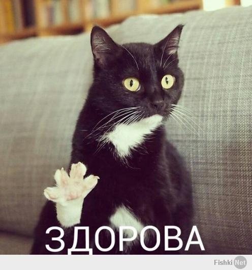 Фишкина солянка за 15.06.2014
