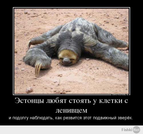 Ленивцы