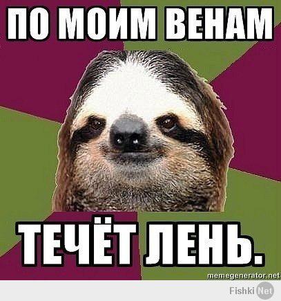 Ленивцы