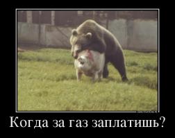 Веселые картинки
