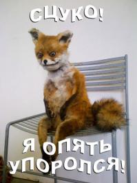 Ой! опять показалось