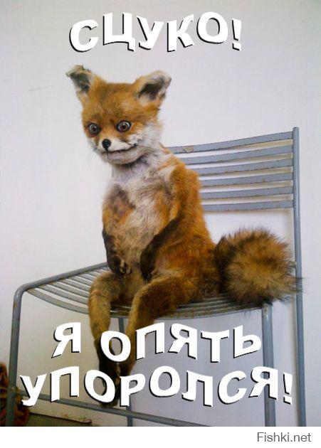 Ой! опять показалось