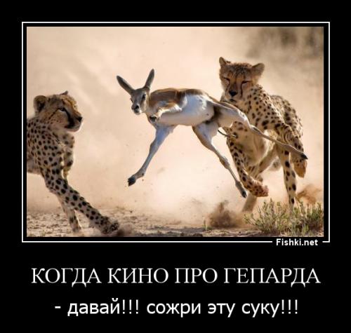 Лосиное семейство против волчьей стаи