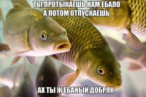 Смешные картинки с подписями