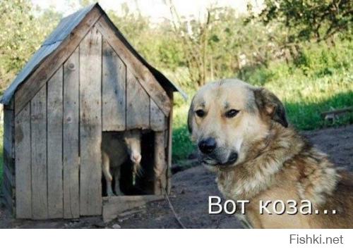 Картинки со смешными подписями