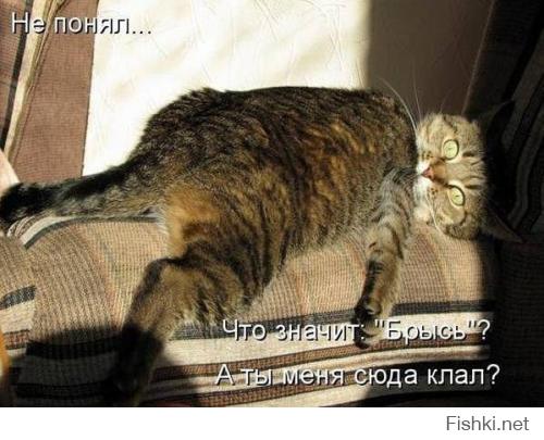Картинки со смешными подписями