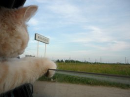 Так и знай-я уеду в Иваново...