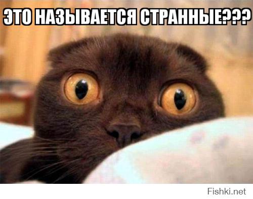 Странные и необычные фотографии