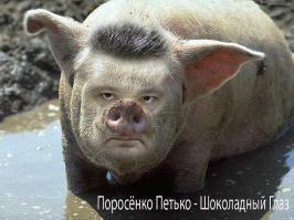 ПОРНОШЕНКО