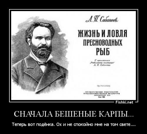 Висконсин заполонили миллионы древних насекомых