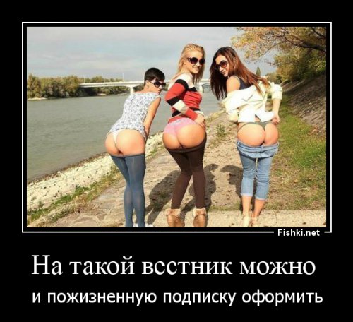 Вестник социальных сетей