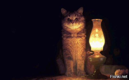Гифки дня
