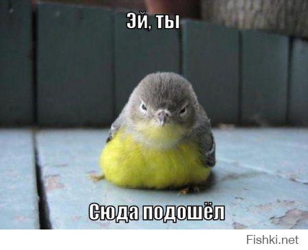 Для отличного настроения на весь день!