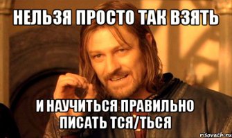 Пешеходам надо поучится у собаки