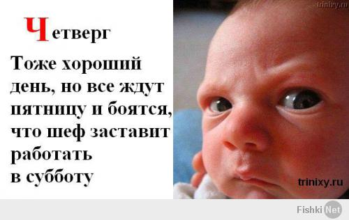 Милые и забавные тоже любят пятницу!