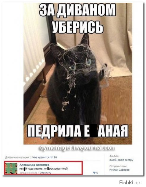 Прикольные картинки с надписями