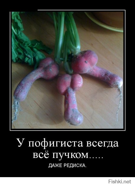 Прикольные картинки с надписями