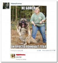 Эти просто убили....