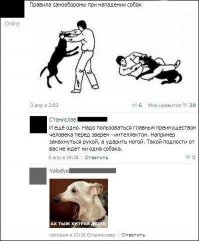 Эти просто убили....