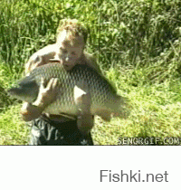 Гифки дня