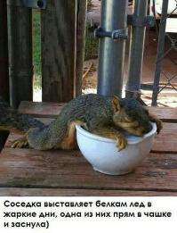 Мда. Там действительно "тепло". Надеюсь, у Вас хотя бы кодер есть...