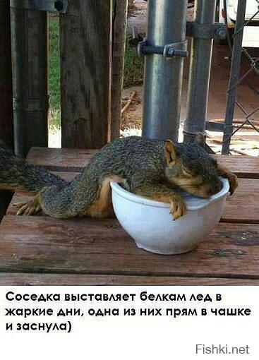 Мда. Там действительно "тепло". Надеюсь, у Вас хотя бы кодер есть...