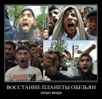 Перестроился