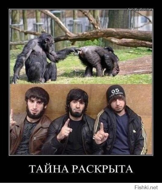 Перестроился