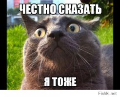 Никогда не садитесь в автобус в Мальте