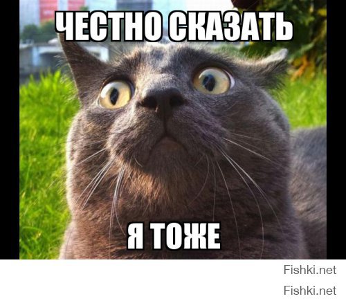 Никогда не садитесь в автобус в Мальте