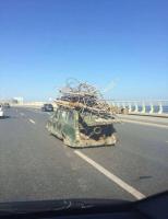 самый крутой РАТ ЛУК что я видел