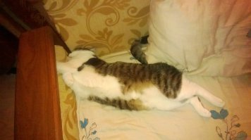 и он же через год