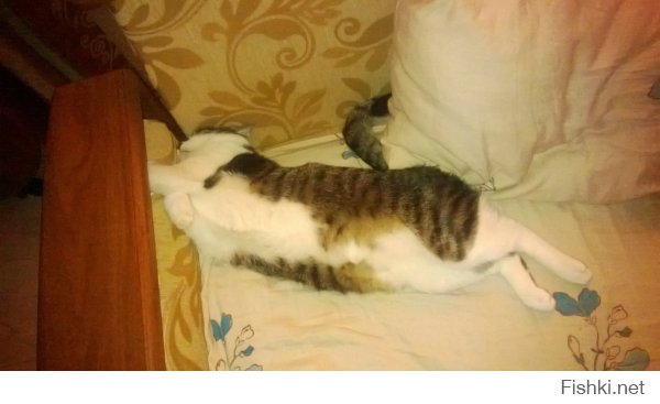 и он же через год