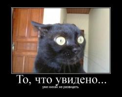 Неудачные попытки девушек продемонстрировать свою сексуальность
