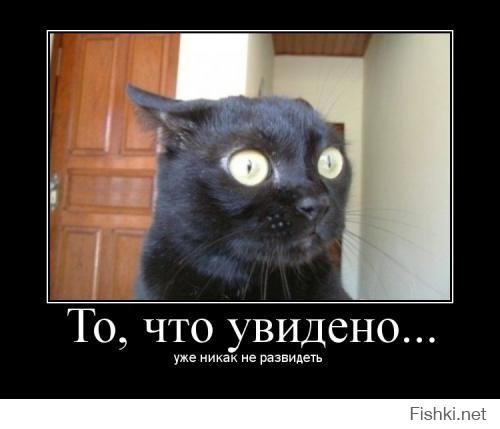 Неудачные попытки девушек продемонстрировать свою сексуальность