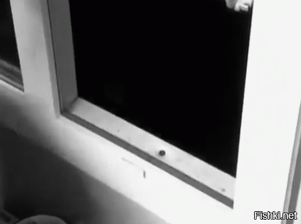 Гифки дня