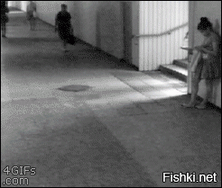Гифки дня