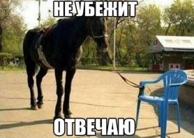 Не убежит. Он уже столько раз пробовал убежать, что теперь даже не пробует.