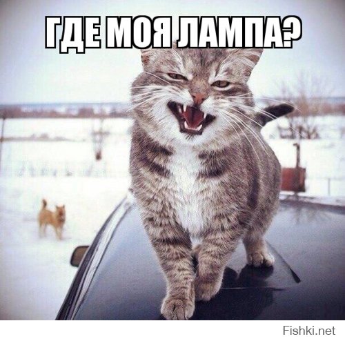 Приятный сюрприз