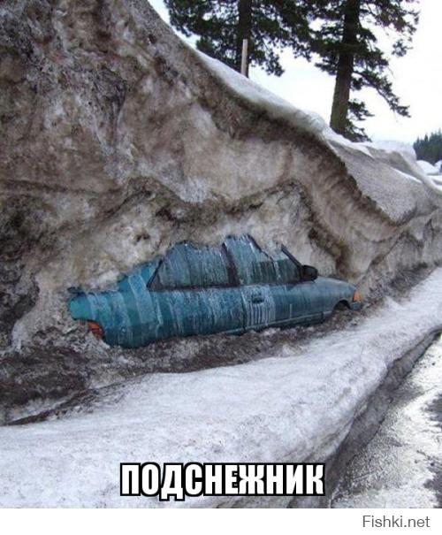 Автоприколы