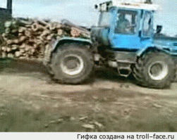Гифки дня