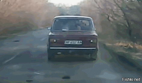 Гифки дня