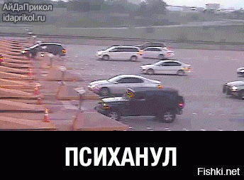 Гифки дня