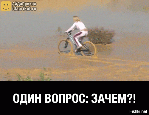 Гифки дня