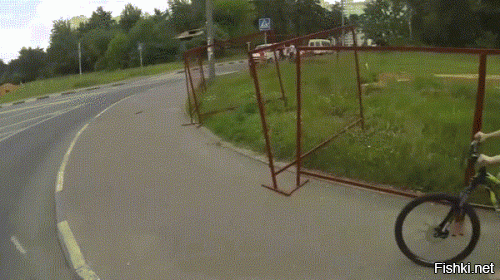 Гифки дня