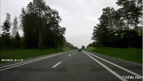 Гифки дня