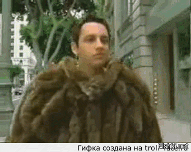 Гифки дня