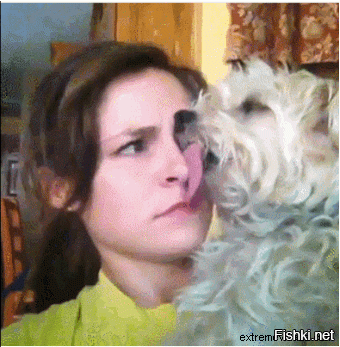 Гифки дня